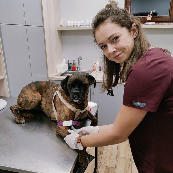 pies-u-weterynarza-02