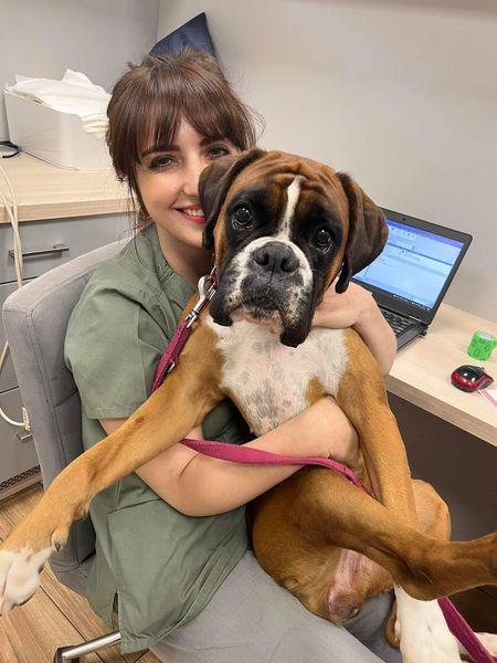 pies-u-weterynarza-05