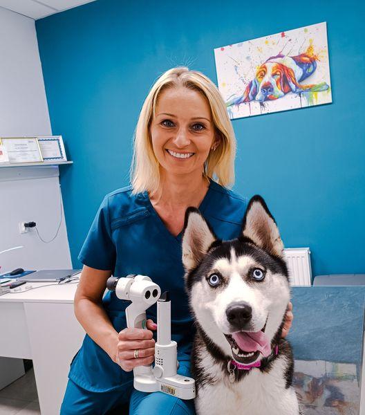 pies-u-weterynarza-08